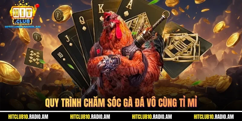 quy-trinh-cham-soc-ga-da-vo-cung-ti-mi