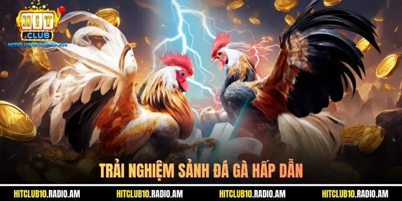 trai-nghiem-sanh-da-ga-hap-dan